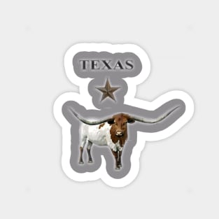 Texas Longhorn Sticker